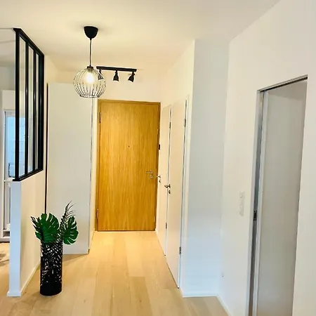 New & Large 1 Bedroom In Center- Terrace & Parking Apartment